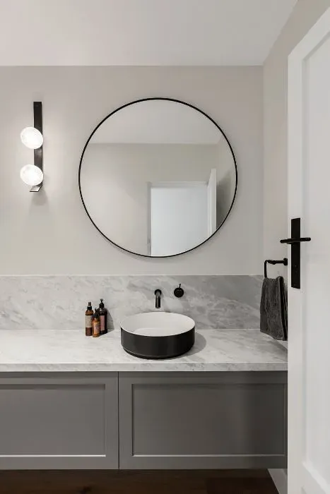 Sherwin Williams Ghosted minimalist bathroom