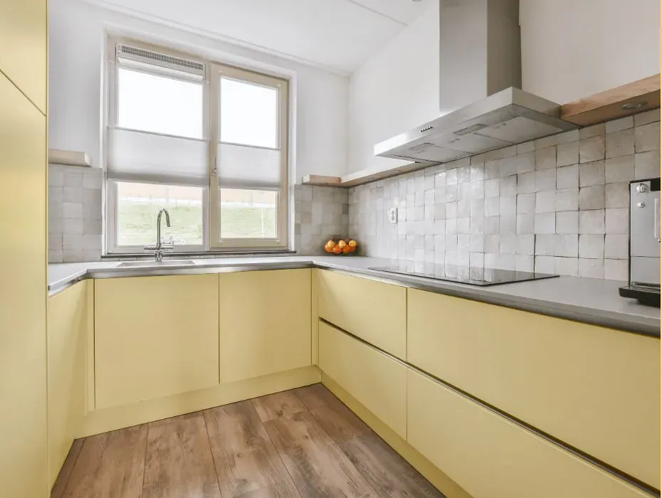 Sherwin Williams Glad Yellow small kitchen cabinets