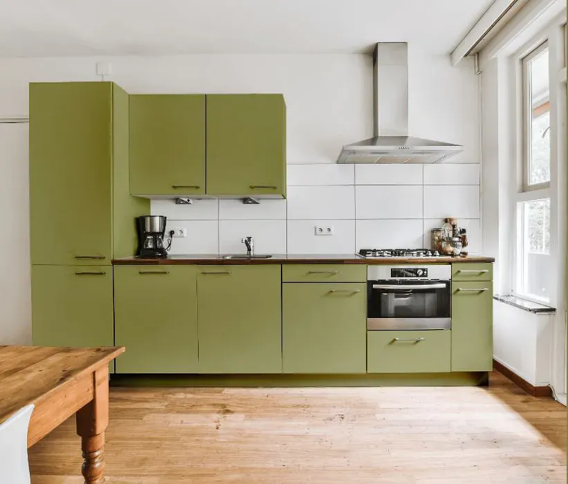 Sherwin Williams Glade Green kitchen cabinets