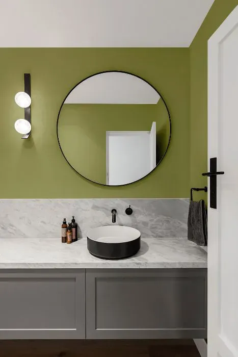 Sherwin Williams Glade Green minimalist bathroom