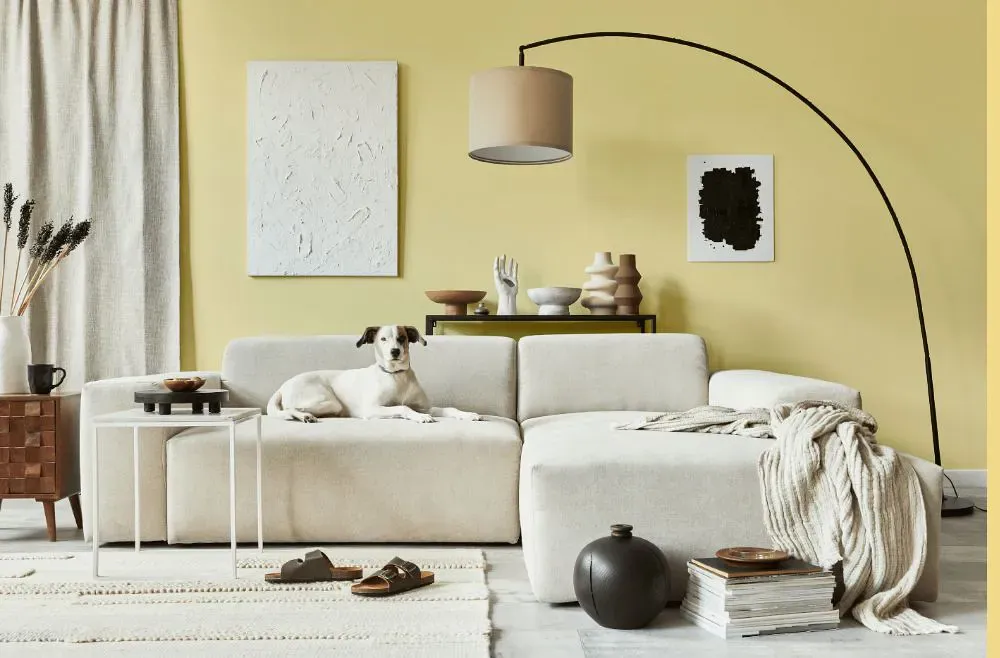 Sherwin Williams Glisten Yellow cozy living room