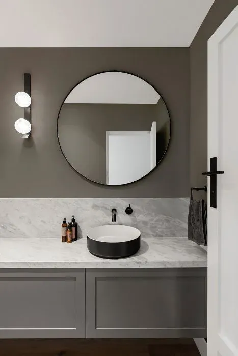 Sherwin Williams Going Grey minimalist bathroom