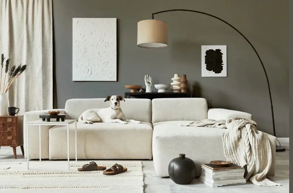 Sherwin Williams Going Grey cozy living room