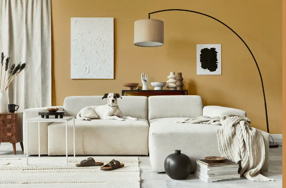 Sherwin Williams Golden Fleece cozy living room