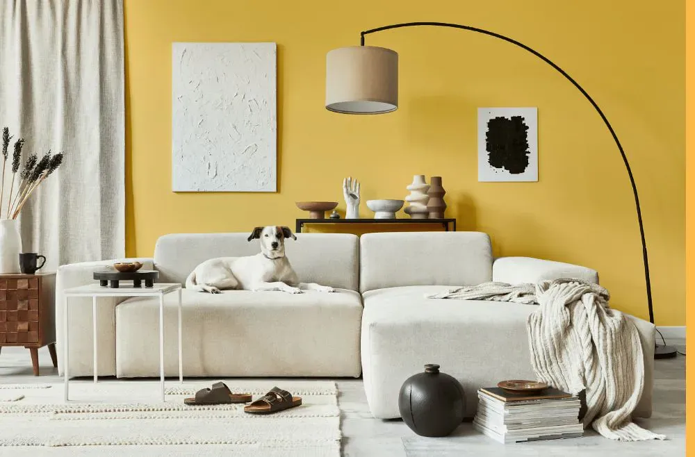 Sherwin Williams Golden Plumeria cozy living room