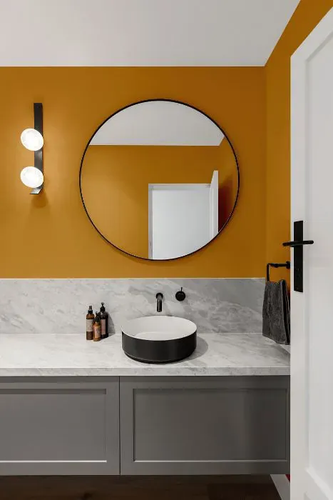 Sherwin Williams Golden Rule minimalist bathroom