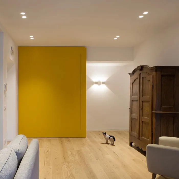 Golden yellow RAL 1004 accent wall