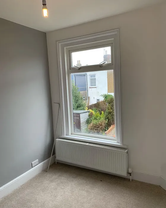 Goosewing accent wall Goosewing accent wall