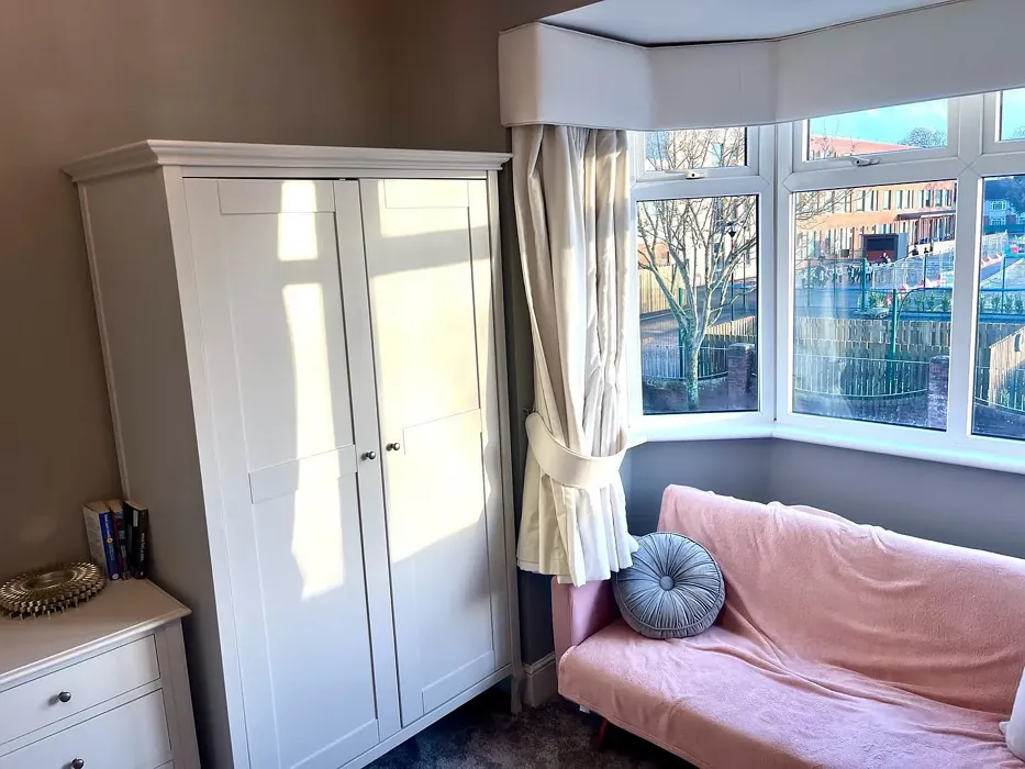 Dulux Goosewing wall paint color Dulux Goosewing wall paint color