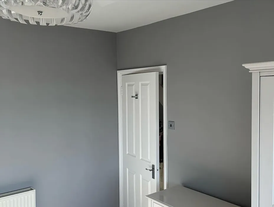 Dulux Goosewing ladie's room color Dulux Goosewing ladie's room color