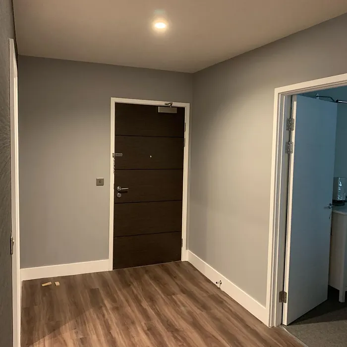 Dulux Goosewing hallway color Dulux Goosewing hallway color