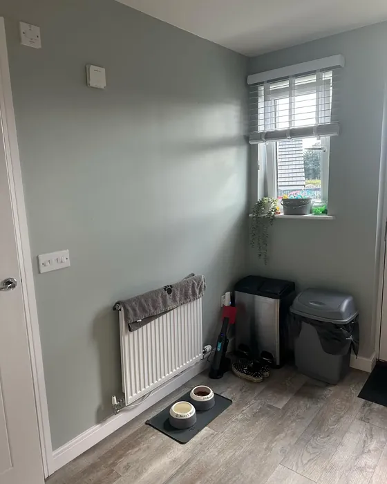 Dulux Graceful Green kitchen paint