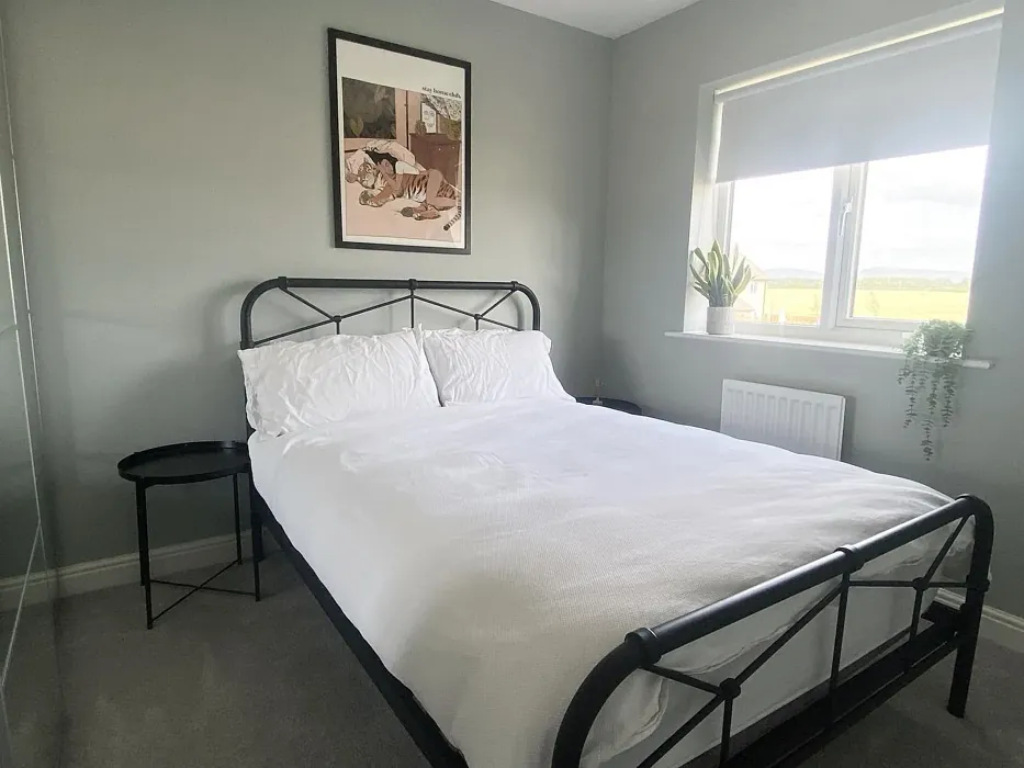 Dulux Graceful Green bedroom paint