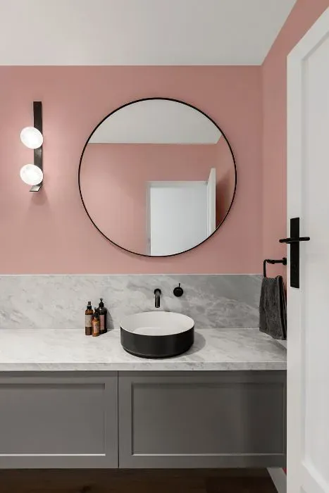 Sherwin Williams Gracious Rose minimalist bathroom