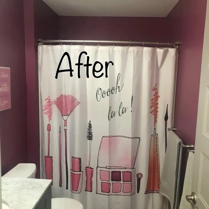 SW 6565 bathroom color