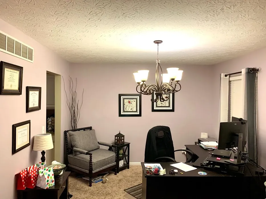 Sherwin Williams Grape Mist home office 