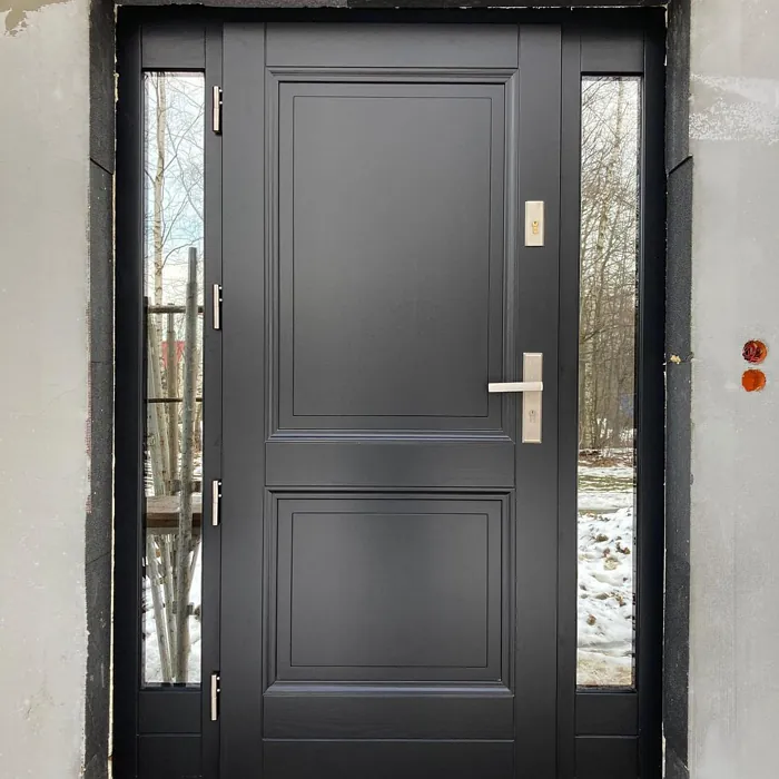 RAL Classic  Graphite black RAL 9011 door