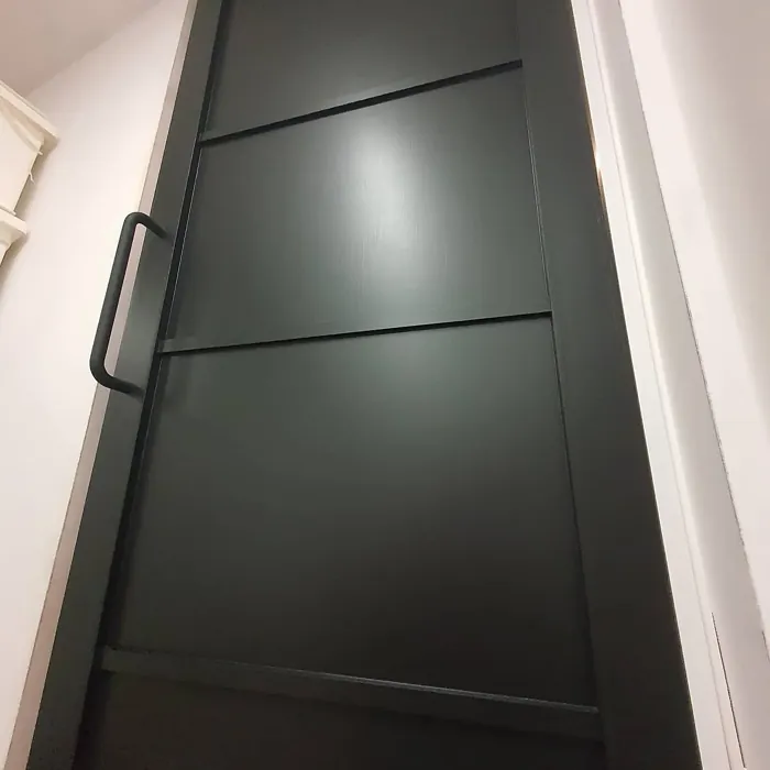 RAL Classic Graphite black door color RAL Classic Graphite black door color