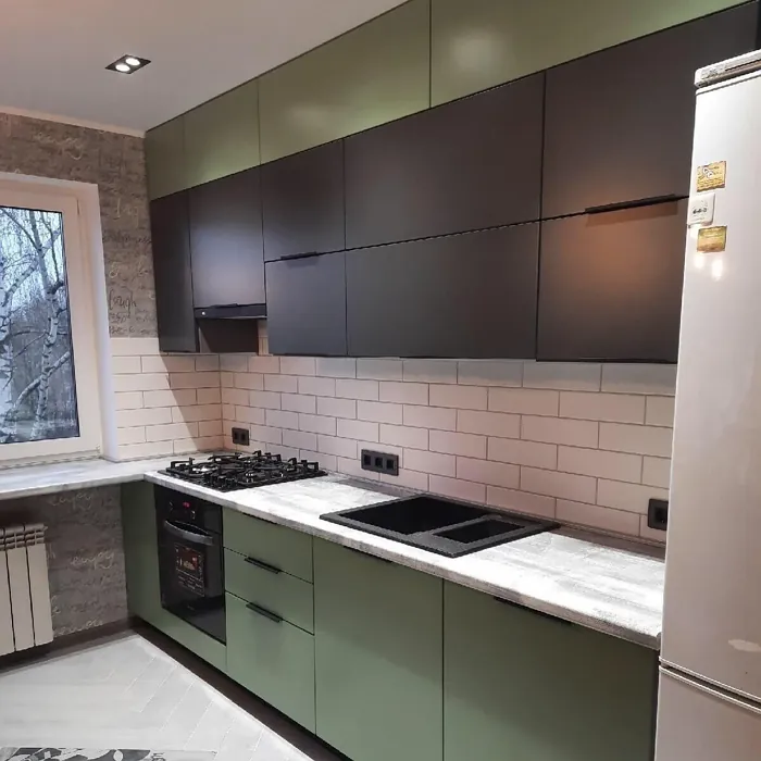 RAL 9011 kitchen cabinets review RAL 9011 kitchen cabinets review