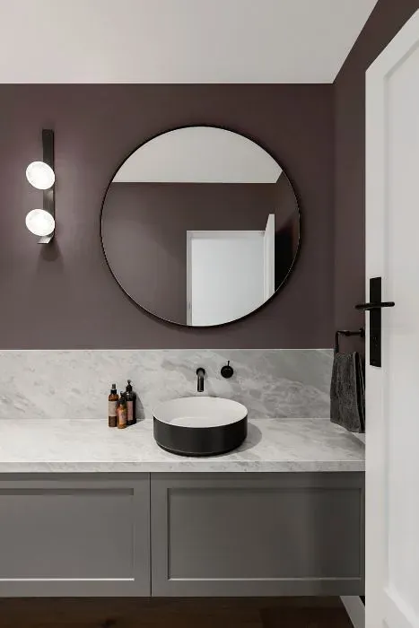 Sherwin Williams Grapy minimalist bathroom