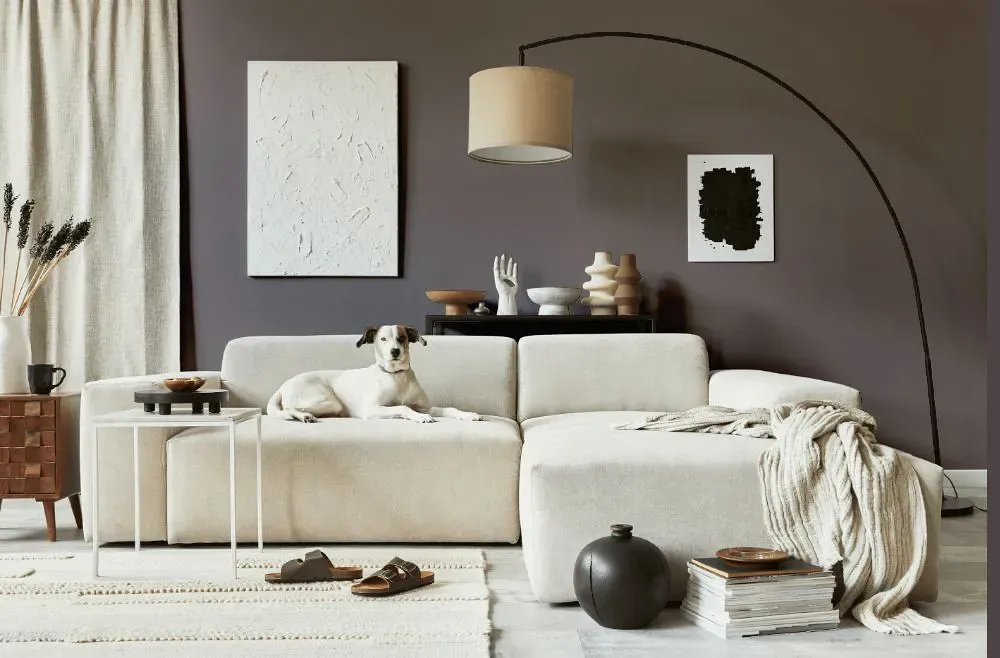 Sherwin Williams Grapy cozy living room