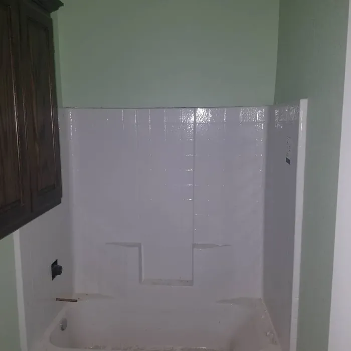 Sw 6435 Bathroom