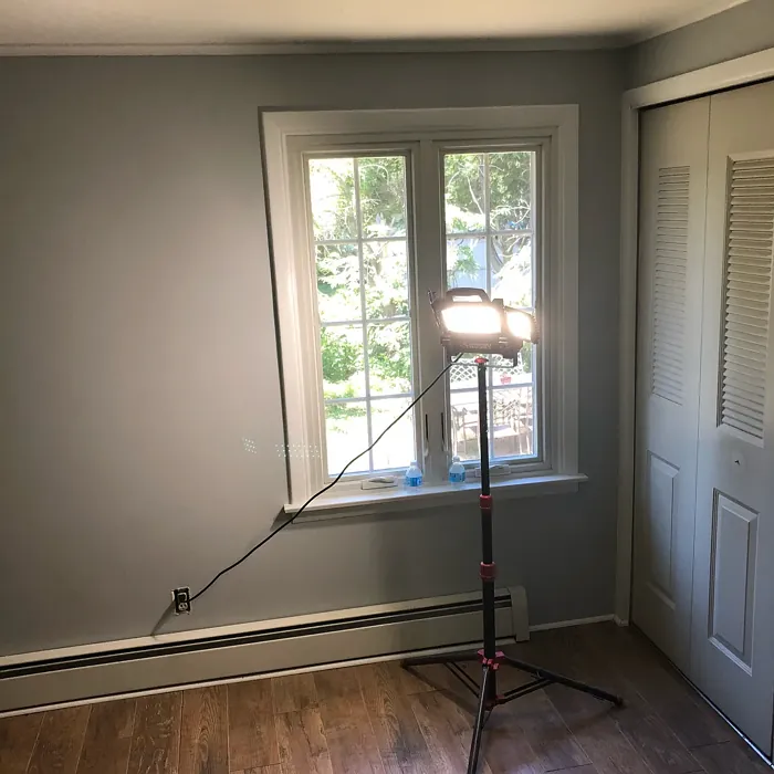 SW Gray Screen wall paint color review