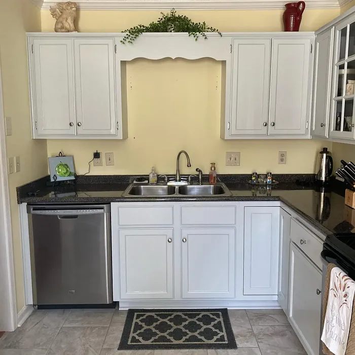 SW Gray Screen kitchen cabinets color review