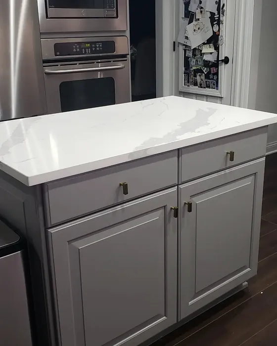 SW 7670 kitchen cabinets 