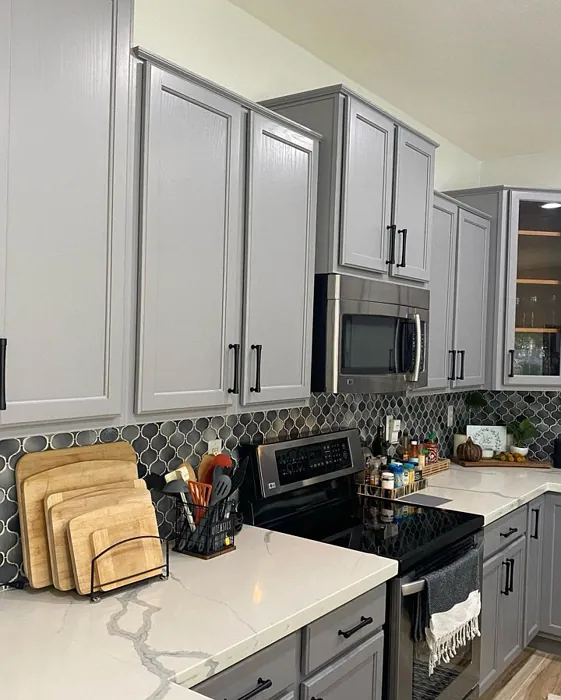 Gray Shingle Kitchen Cabinets