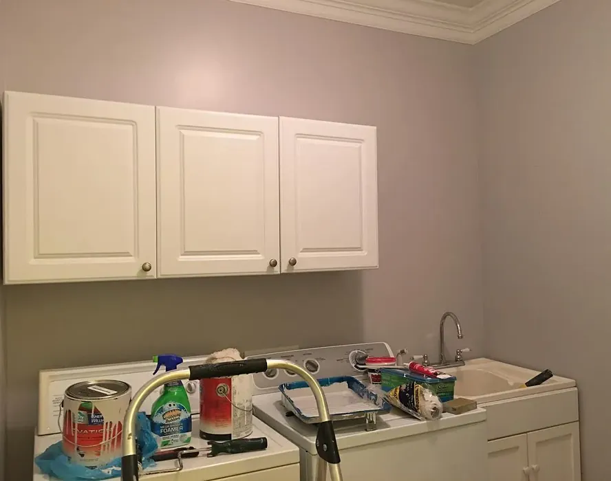 Sherwin Williams Grayish laundry room color