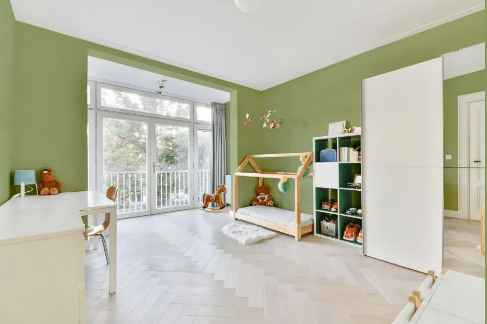 Sherwin Williams Great Green kidsroom interior, children's room