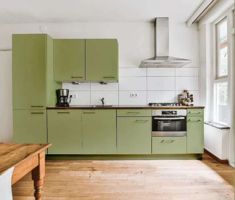 Sherwin Williams Great Green kitchen cabinets