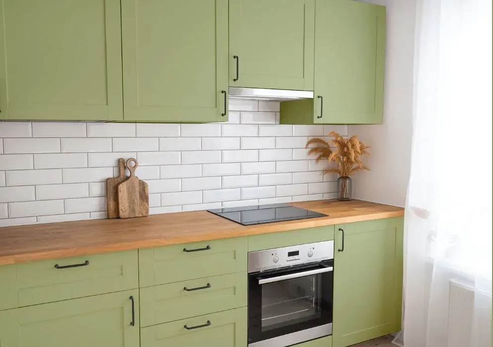 Sherwin Williams Great Green kitchen cabinets