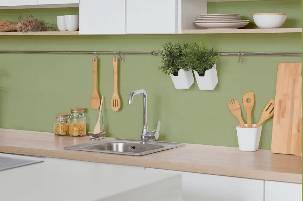 Sherwin Williams Great Green kitchen backsplash