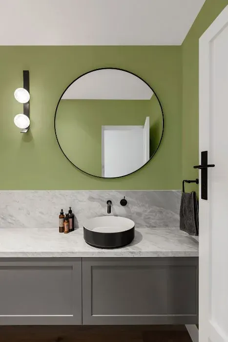 Sherwin Williams Great Green minimalist bathroom