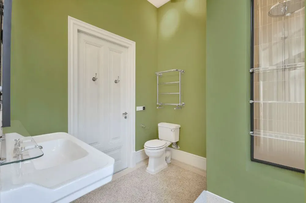 Sherwin Williams Great Green bathroom