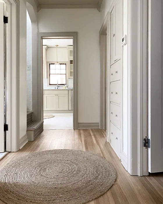 Sherwin Williams Greek Villa hallway color