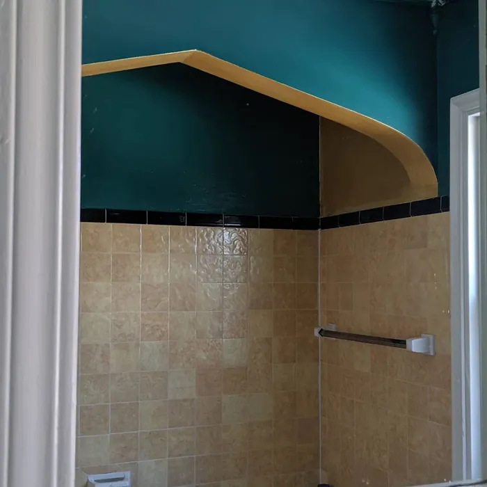 Sw Green Bay Bathroom