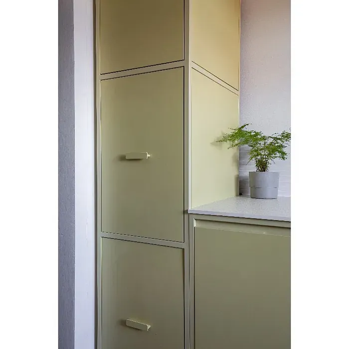 RAL Classic Green beige RAL 1000 kitchen cabinets