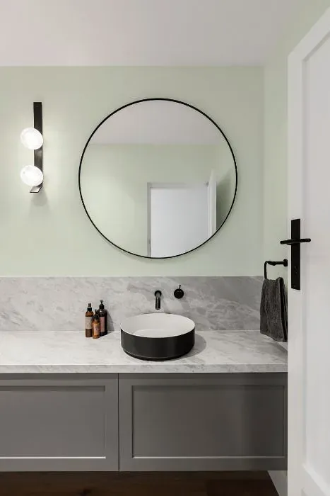 Sherwin Williams Green Glaze minimalist bathroom