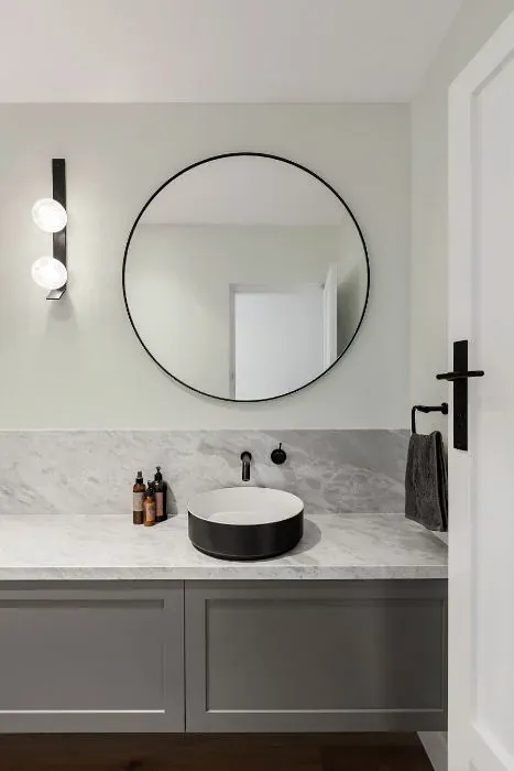 Sherwin Williams Green Glimpse minimalist bathroom