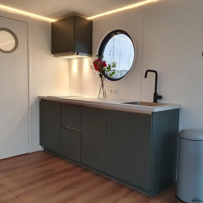 RAL Classic  Green grey kitchen cabinets color