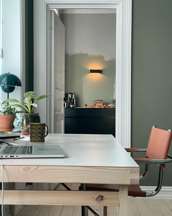 Green Harmony living room color