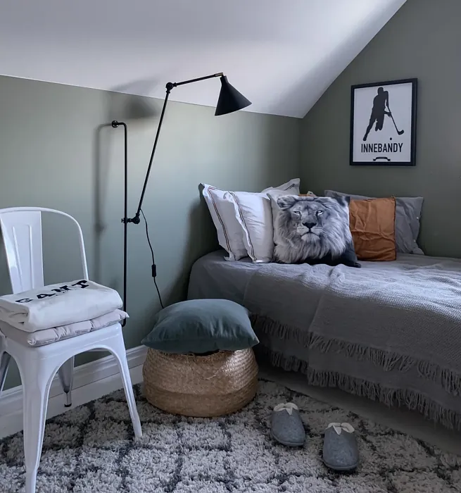 Jotun Green Harmony bedroom paint review
