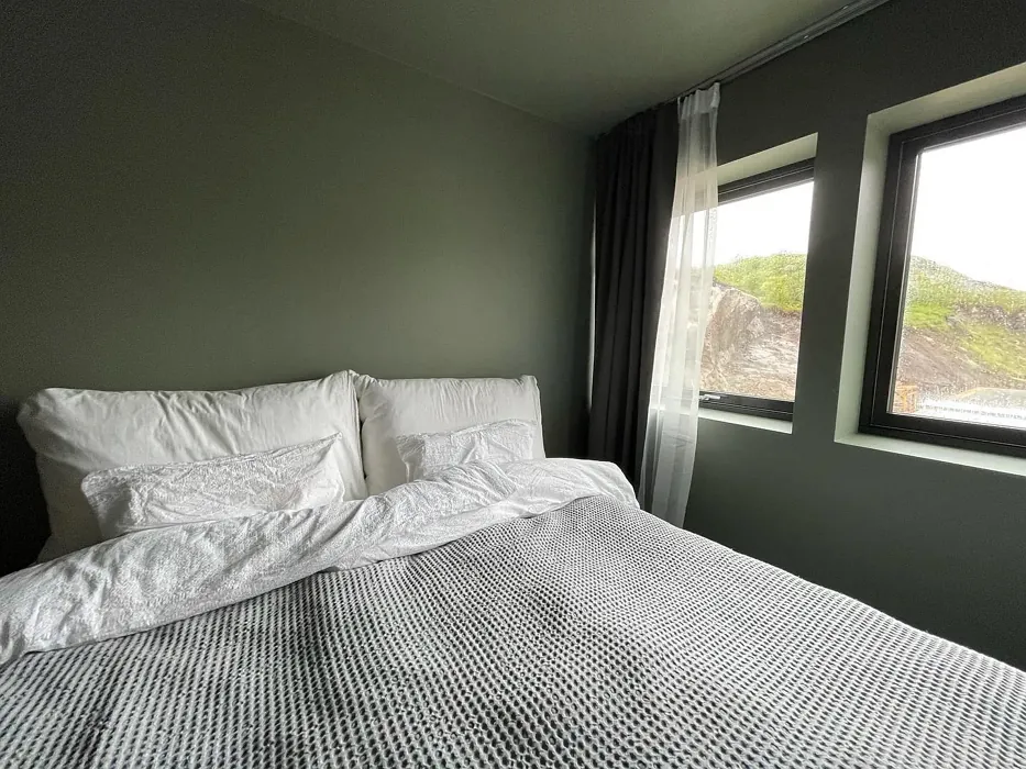 Green Leaf bedroom color review