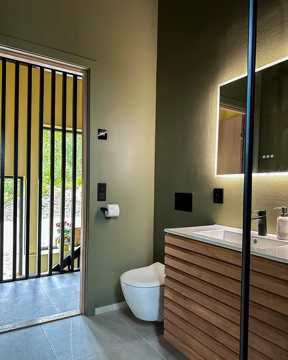 Jotun Green Leaf bathroom color review