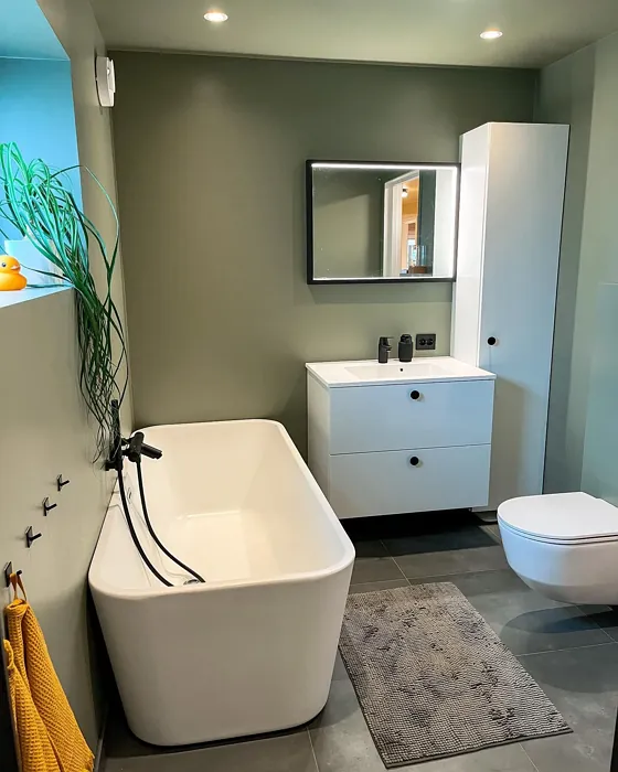 Jotun Green Leaf bathroom color review