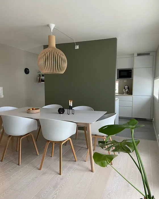 Green Leaf dining room accent wall color