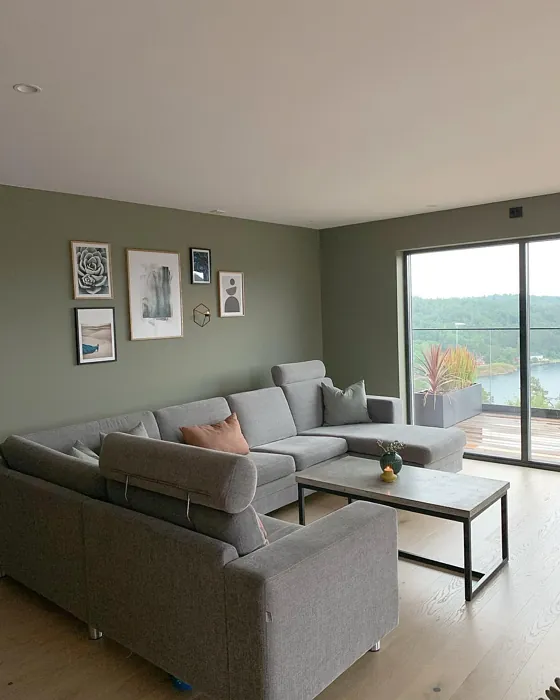 Jotun Green Leaf living room inspiration
